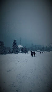 Meet your Posher, Kübra